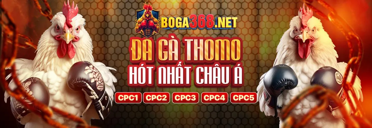 Hình ảnh chính về ưu đãi 88k của 7clubs